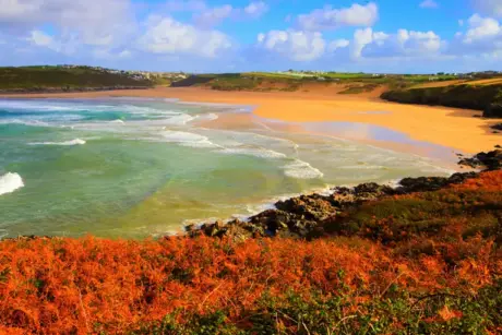 Cornish Tints Explorer In Newquay Booking