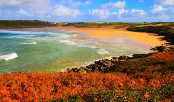 Cornish Tints Explorer In Newquay Booking