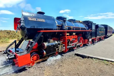 RHD Railway inc Fish n Chip Lunch