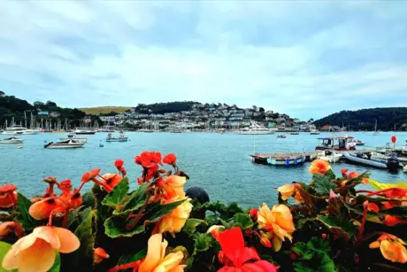 Delightful Devon Booking