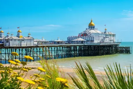 Seaside Special – Brighton 2026