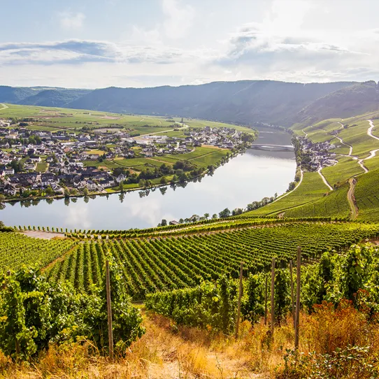 Rhine, Main & Swiss Train Journey - Day 5 Rhine Main Swiss Train Journey Day 5