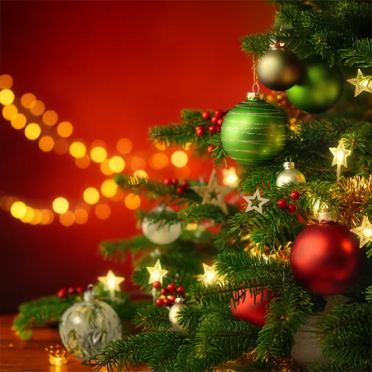 Christmas Spectacular At Potters Resort - Image 5